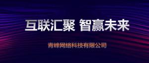 “互聯(lián)聚匯，智贏未來” 2019焦作青峰全網(wǎng)合作峰會圓滿成功！